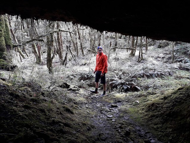 View of Enchanted Forest from inside the second Under-Track Cave