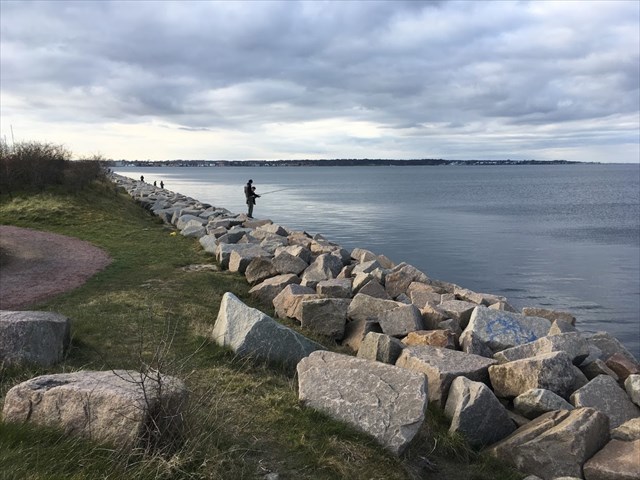 e74bda23-2c55-48a6-bda2-873f37707e82_l.jpg (640×480)