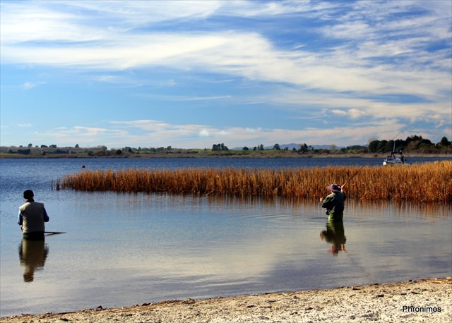 Lake Rerewhakaaitu fishing
