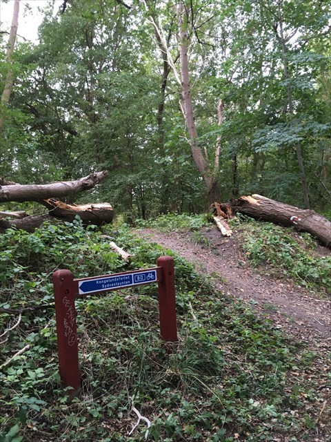 e7dafc29-2187-4338-9102-5b3dc5179e63_l.jpg (480×640)