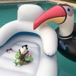 Diego und Gerda mit Anton im Pool