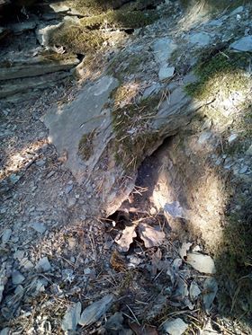 schiefer Schieffer als Versteck