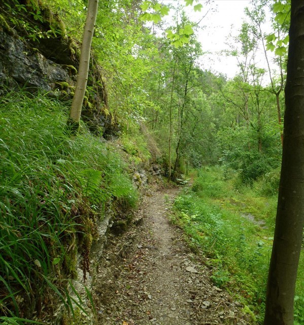 Wanderweg Ulfener Karst P20