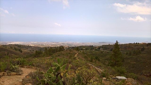 TF-Las Vegas #06.jpg