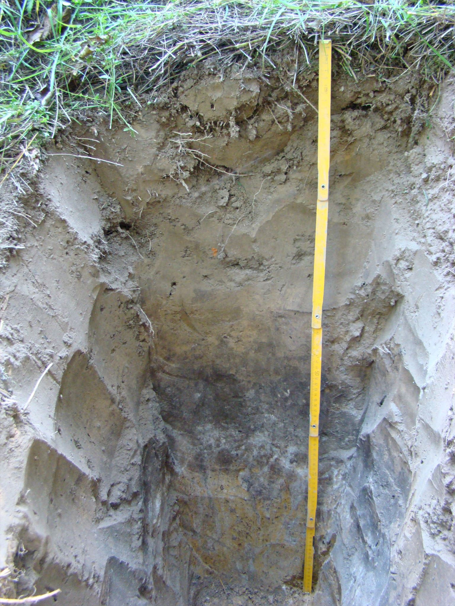 Parabraunerde mit Ah-Al-Bt-C-Profil