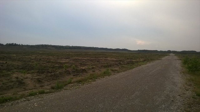 Pustynia Starczynowska