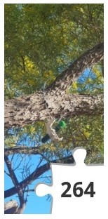 Jigsaw puzzle - Dese Bones - QOGM 2023 Jigsaws – 050