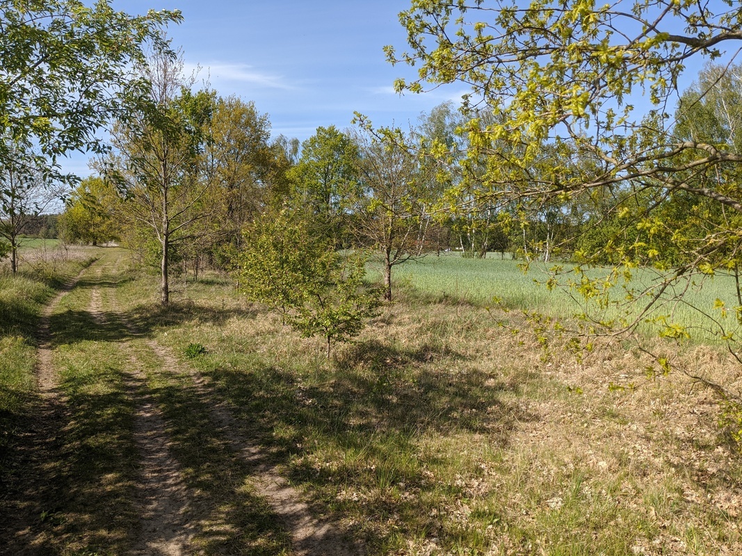 Sommeransicht