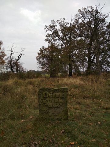 Nazwa zdjęcia Nazwa zdjęcia