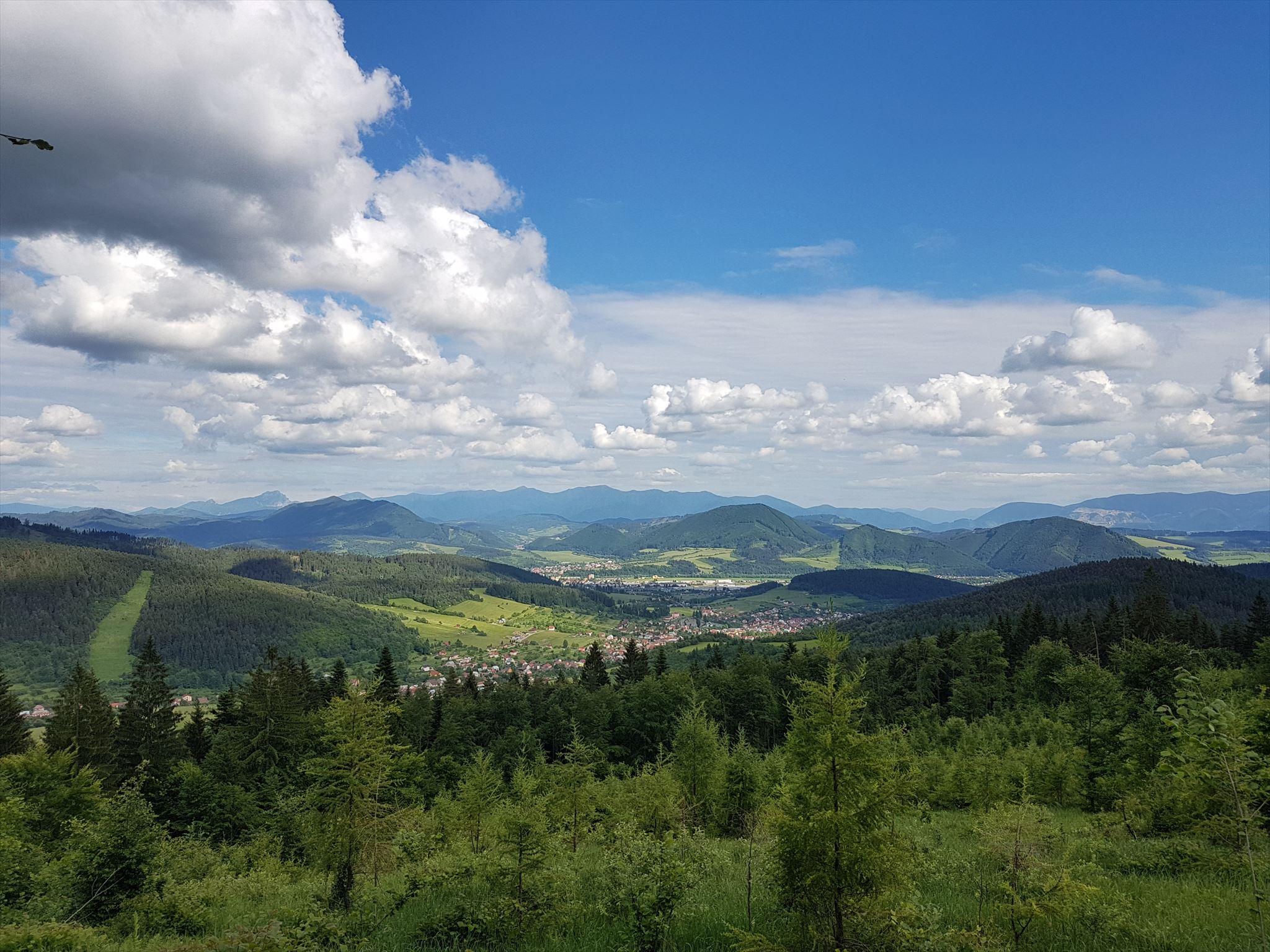 vyhlady v case publishu