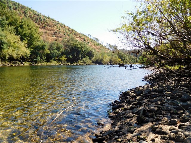 À sombra é que se está bem 