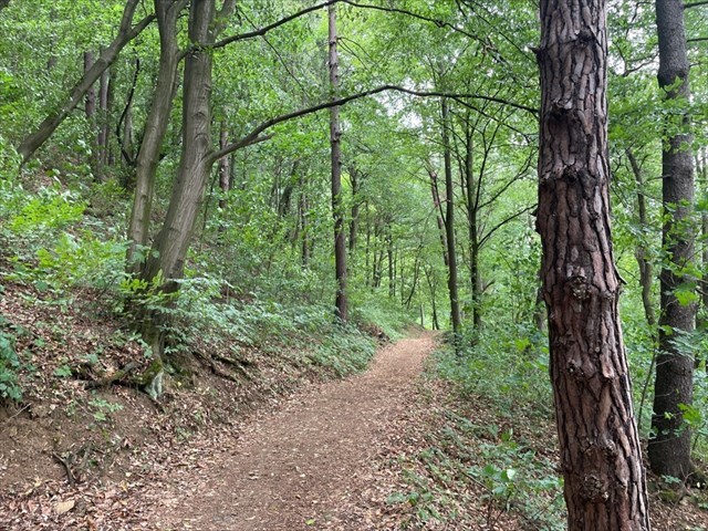 Ilustračný obrázok k článku Preteká cez Prešov a okolie, viete však o nej všetko? 5 zaujímavostí o rieke Torysa, o ktorých ste možno netušili