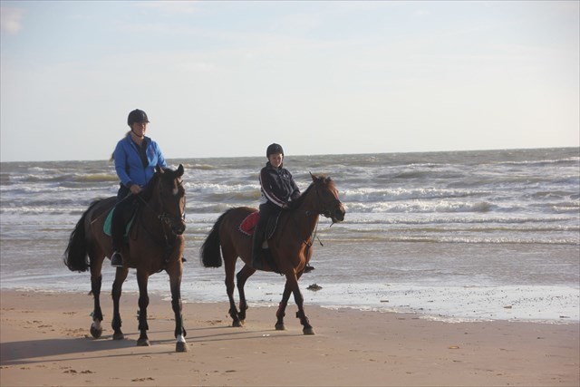 strand stap strand stap