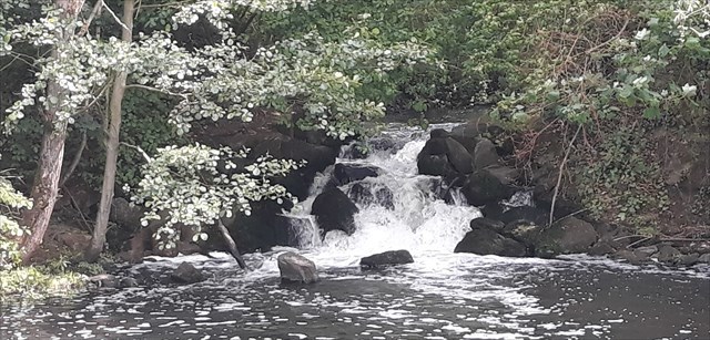 Rapphofs Mühlenbach Wasserfälle