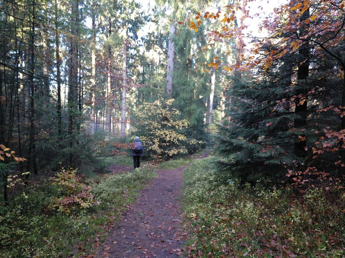 wenn ein weg nach rechts geht da vorne links 