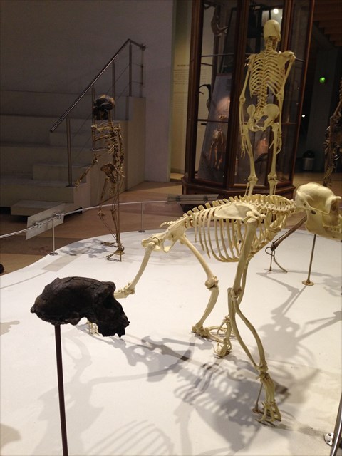 f044ee08-58cd-4a56-abf7-16a063ce08f8_l.jpg (480×640)