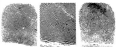 Odtlačok prsta Odtlačok prsta