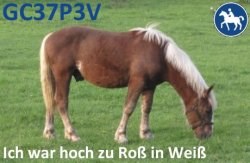 GC37P3V - Hoch zu Ross