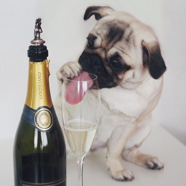 Party