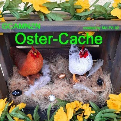 Oster-Cache