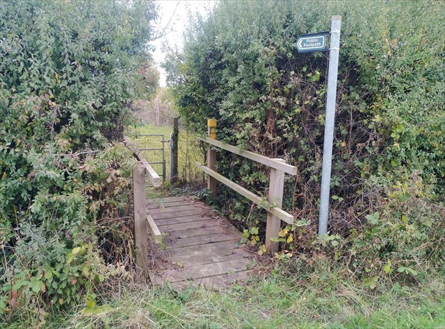 Little Bridges, Brandon
