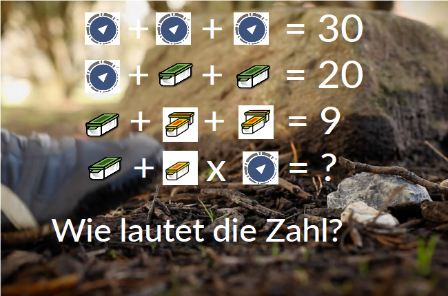 Wie lautet die Zahl?