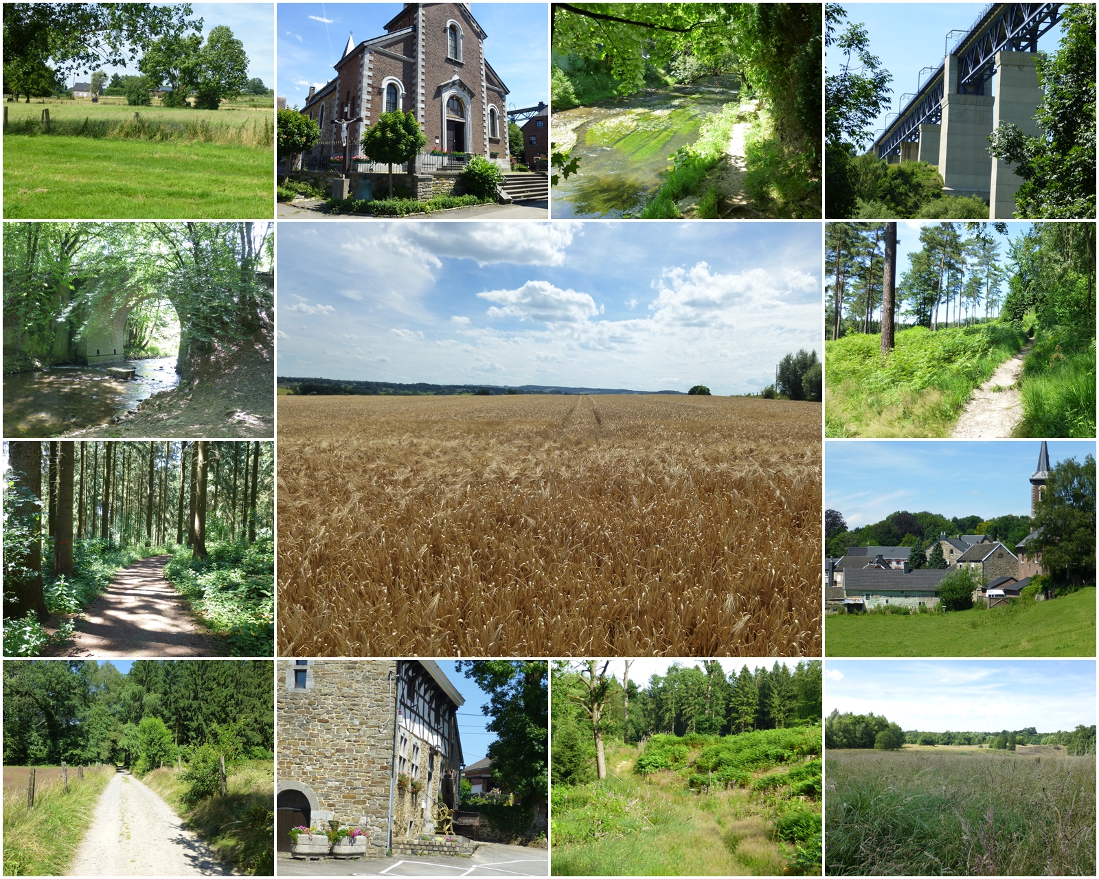 Impressionen aus dem Öcher Bösch