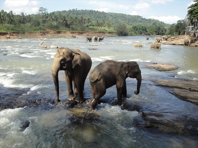 f25b18ed-ba96-444f-829c-4e62fa545647_l.jpg (640×480)