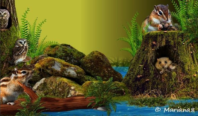 Lesní zvířátka-UNDER