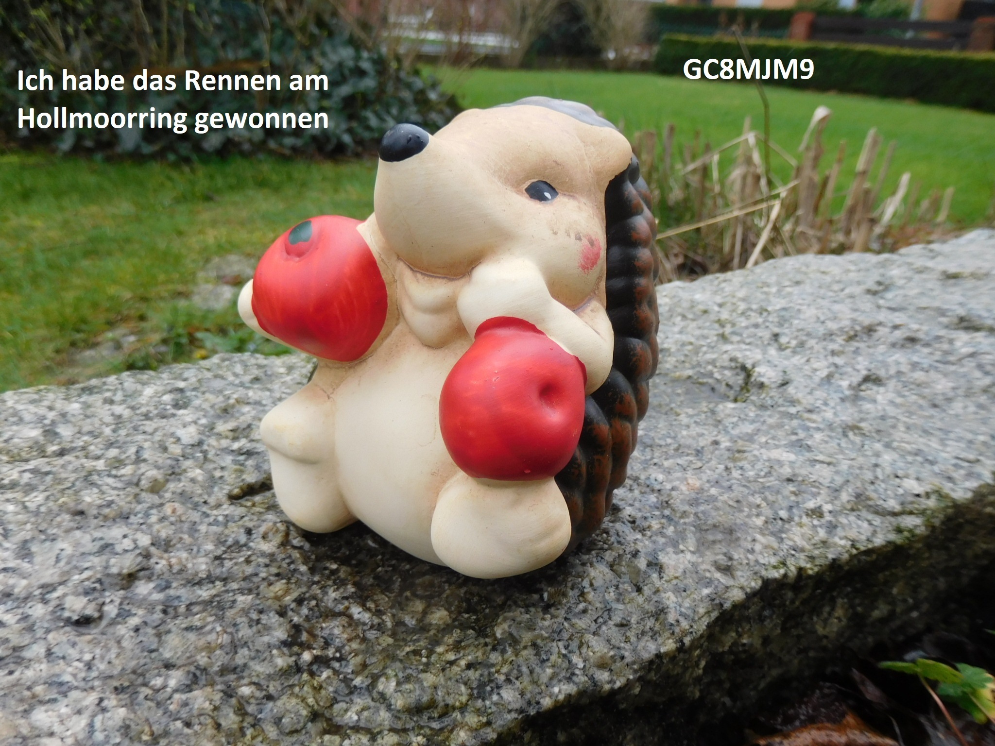 Ich habe das Rennen am Hollmoorring gewonnen