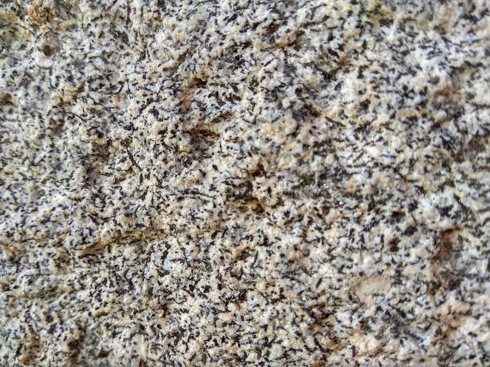 Imagen de WhatsApp 2021-03-03 a las 21.06.10 (1) .jpeg