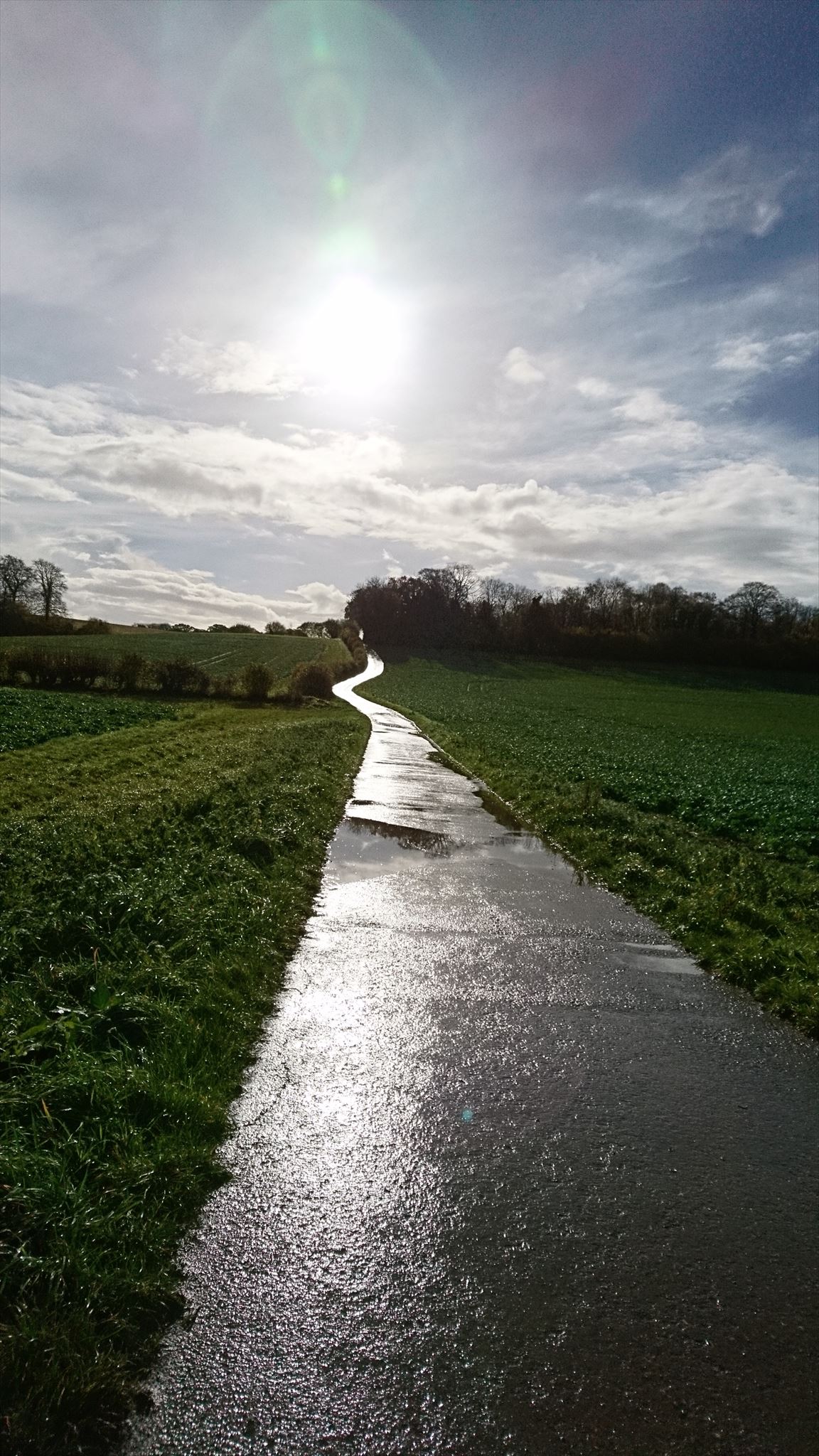 Jigsaw puzzle - Quedgeley_Sushi