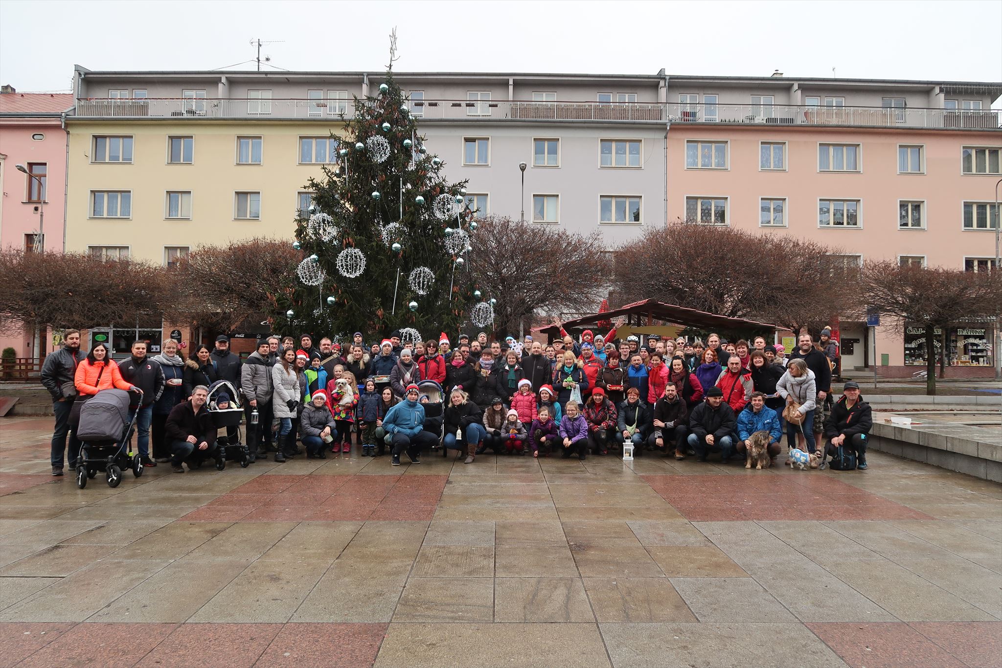 Kačeři u vánočního stromu 2016