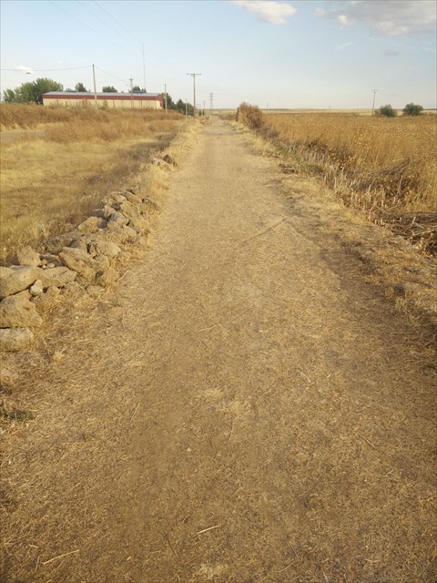 Calzada romana