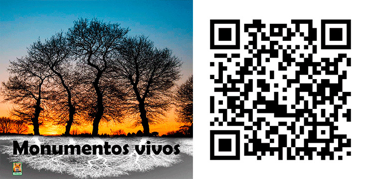 Adventure LAB: Monumentos vivos