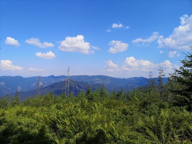 Výhľady z Jarabinej na východ 8.8.2020