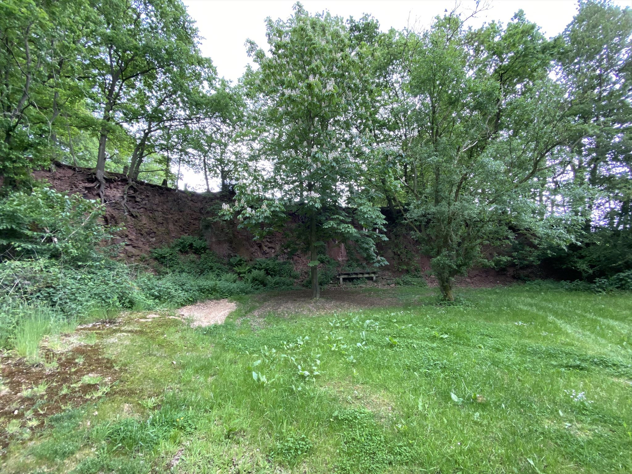 Naturdenkmal Steinbruch