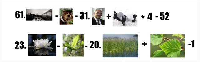 Tv-sarjoja ja biologiaa