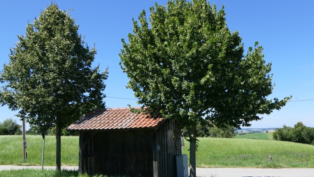 Altes Wartehäuschen