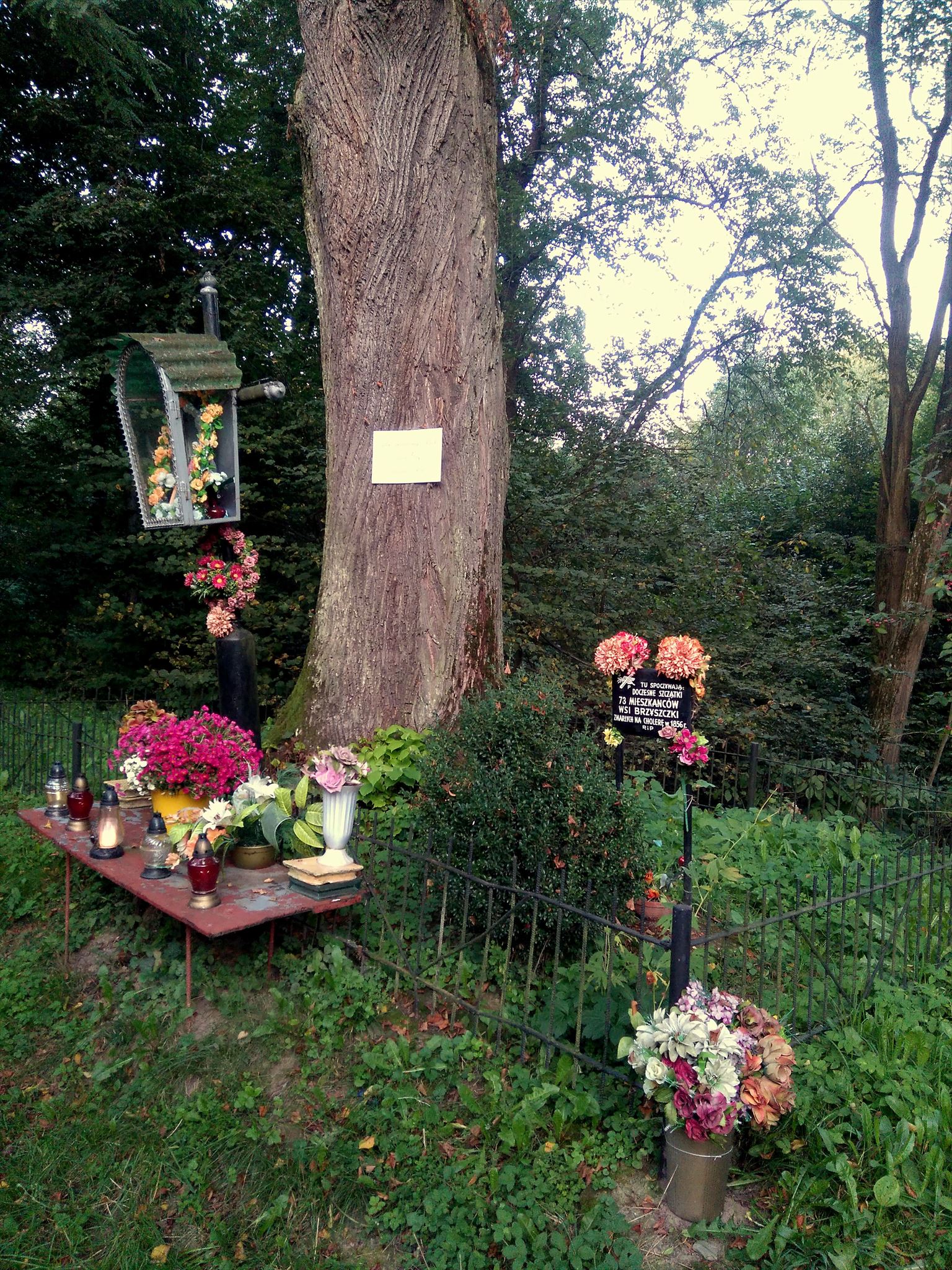 Cmentarz choleryczny w Jaśle