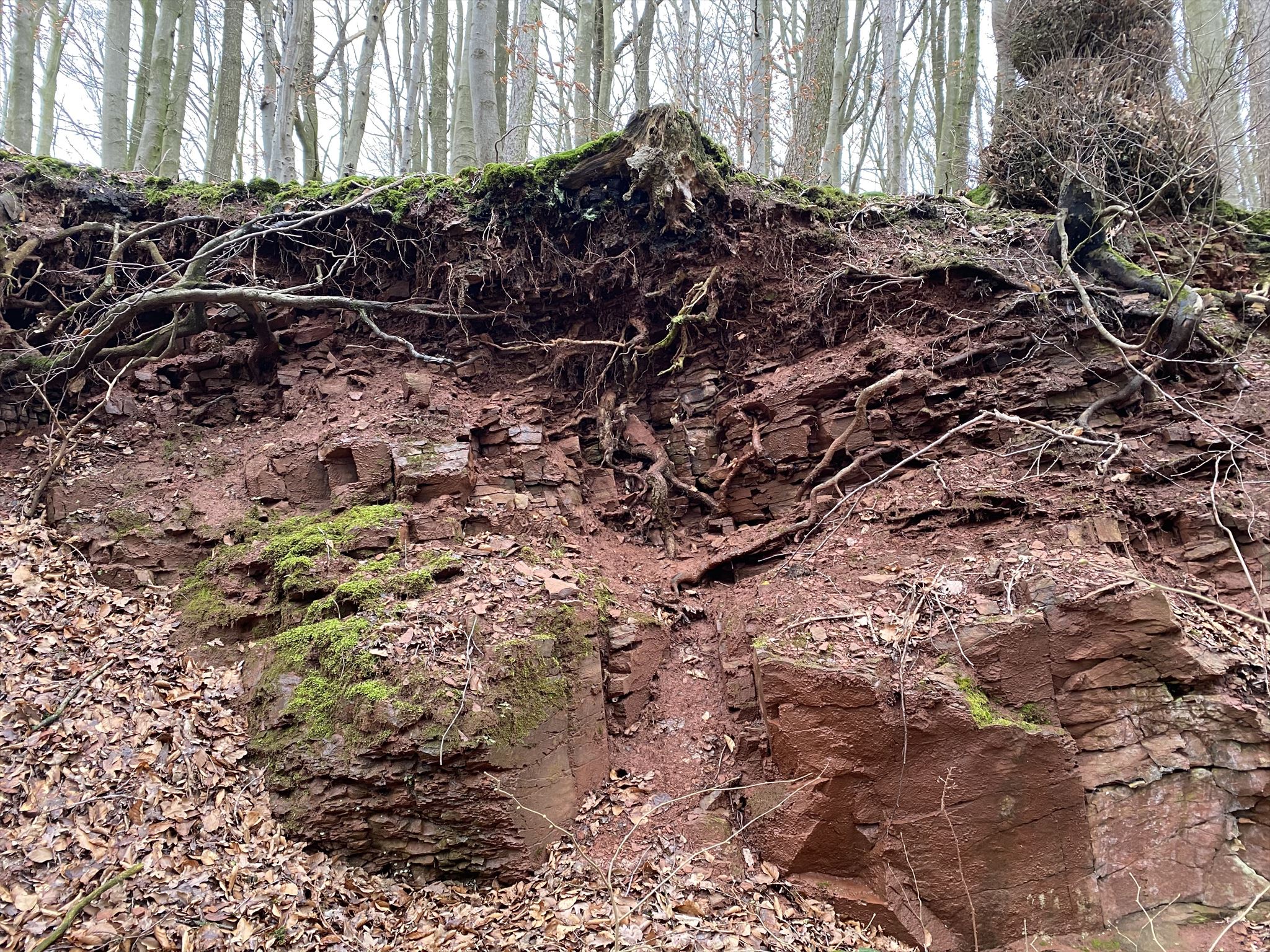 roter Tonsandstein roter Tonsandstein