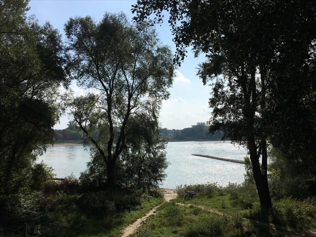 Plattform Au-Terrasse