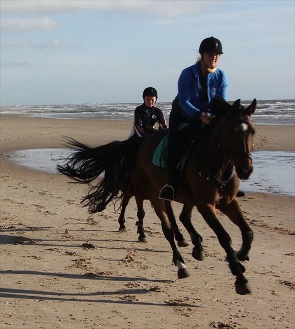 strand galop