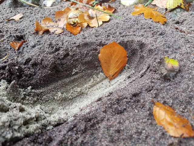 Seife am Strand