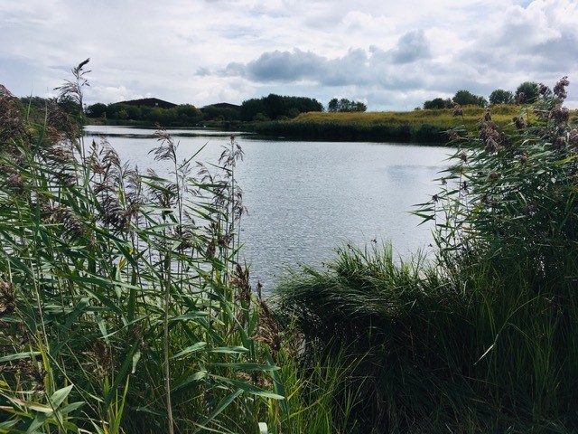 f97d1919-9b81-4cce-af45-0ef5c8825709_l.jpg (640×480)