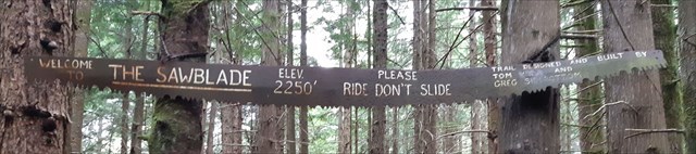 Sawblade Falls