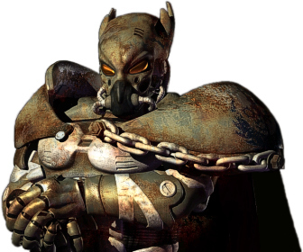 Paladin Bratrstva oceli