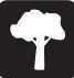 Escalada arbol icon