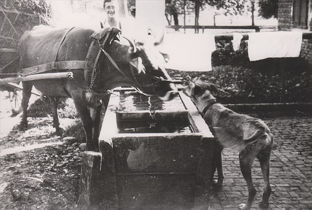 Laufbrunnen in Wolfurt