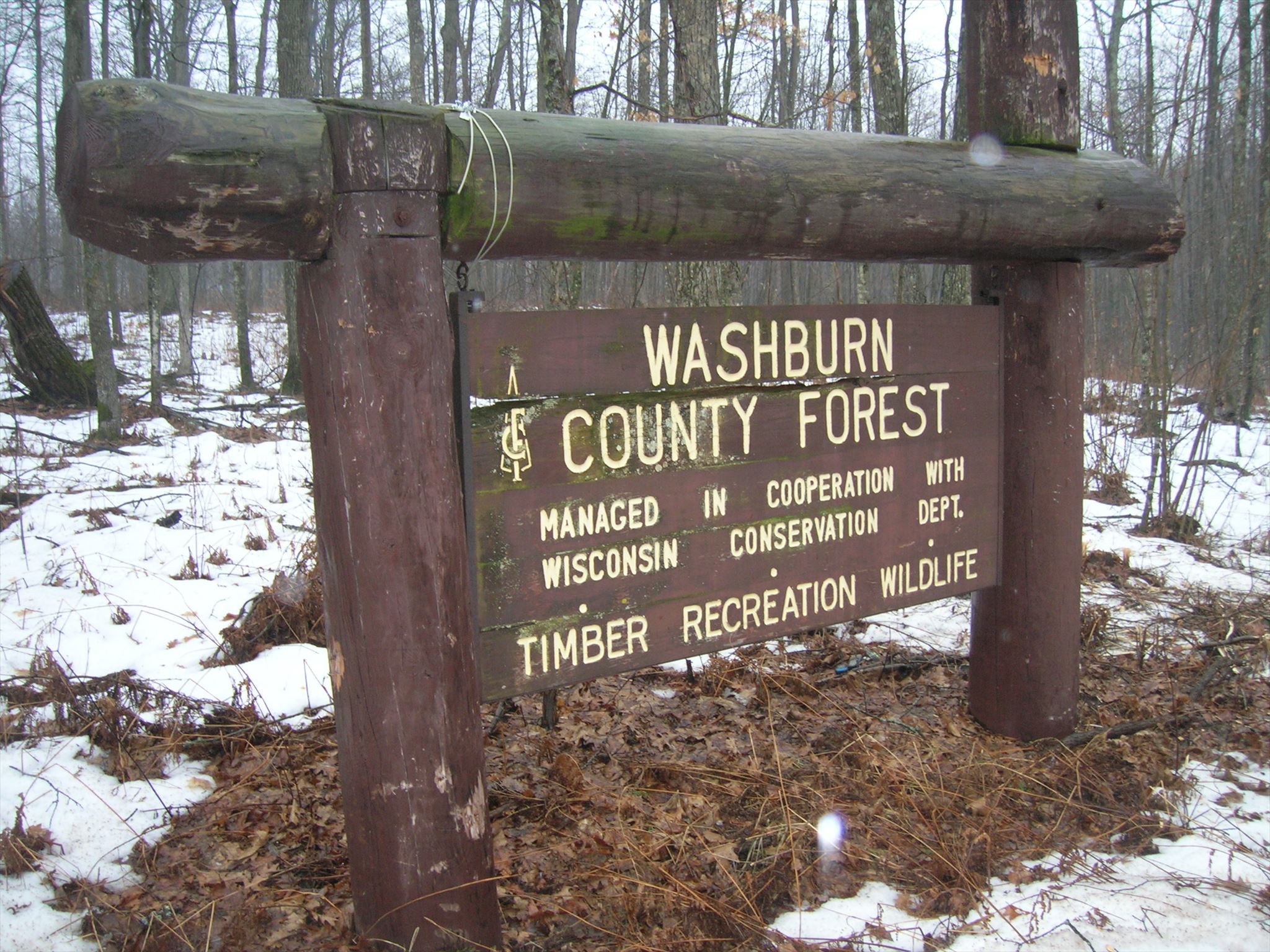 GC70W30 Washburn County ForestHwy D (Traditional Cache) in Wisconsin